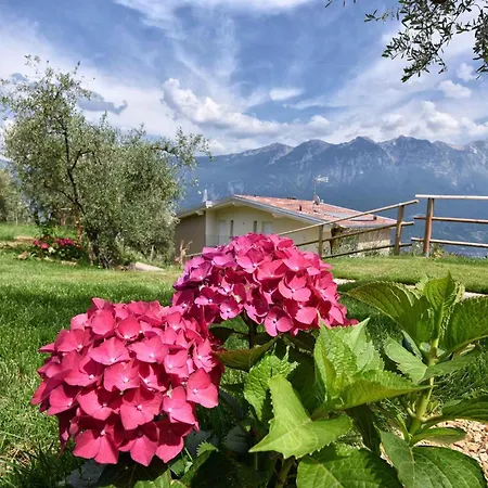 公寓 In Sul Garda 34645