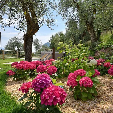 In Sul Garda 34645 Tremosine